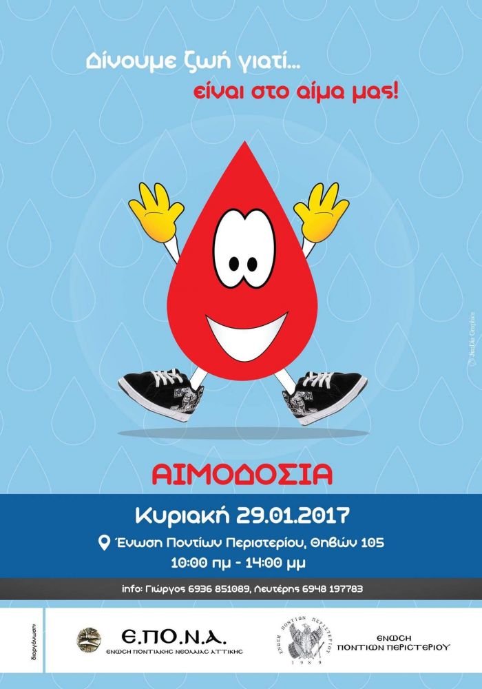 13 aimodosia b